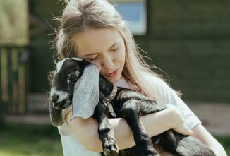 Yoga Goats, Therapy Goats, Petting Zoos: Ensuring Good Welfare for Animals and People